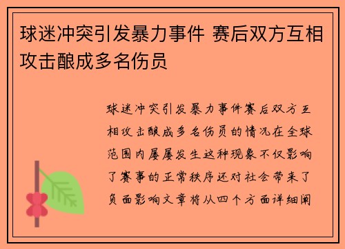 球迷冲突引发暴力事件 赛后双方互相攻击酿成多名伤员